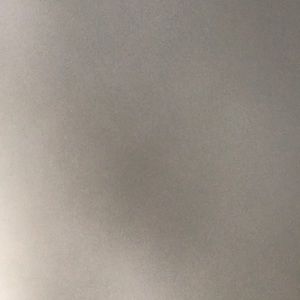 Meet your Posher, Bella